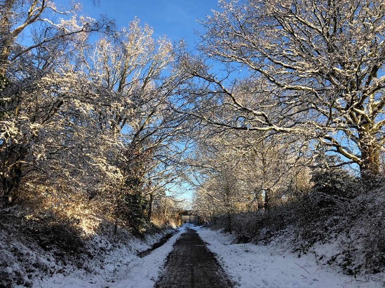 Middlewood way path in the snow
