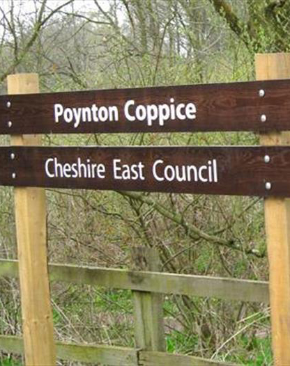 Poynton Coppice