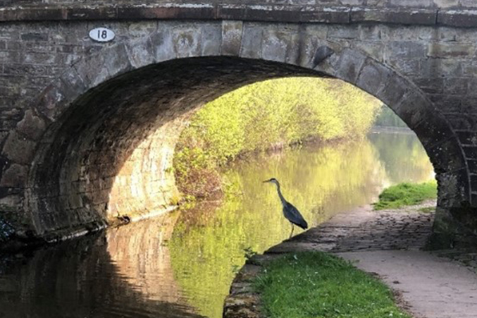 Bridge and Crane