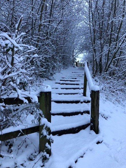 Middlewood Way stairs in the snow