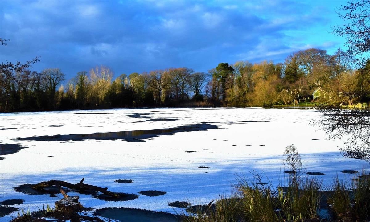 Poynton Pool in the snow