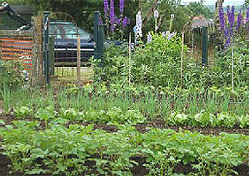 Allotments