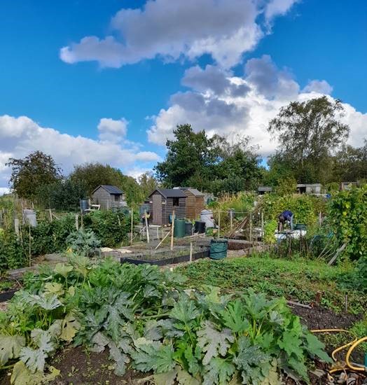 Call for land for new allotments