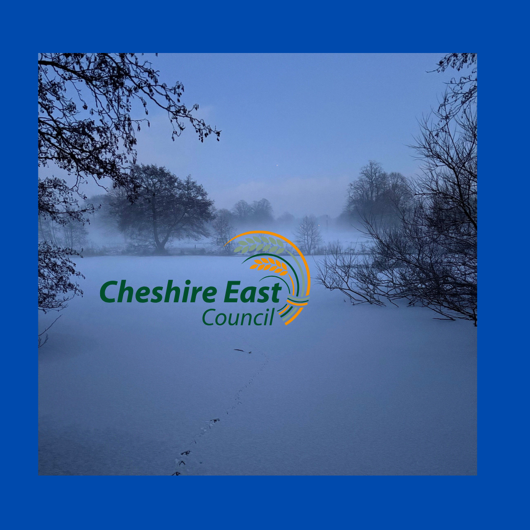 UPDATES: Cheshire East Council - Poynton Pool Spillway Improvements