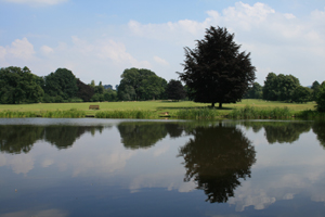 Poynton Pool Tree Survey