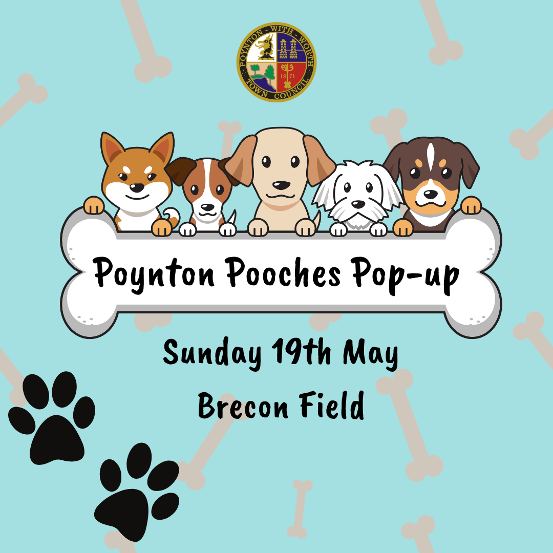EVENT: Poynton Pooches Pop-up