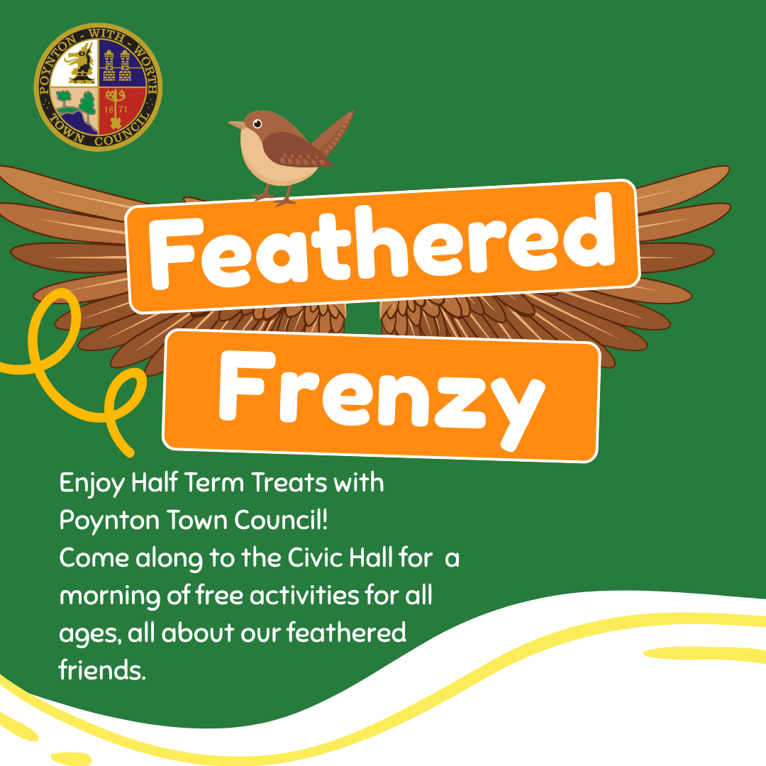 Feathered Frenzy: February Half Term 