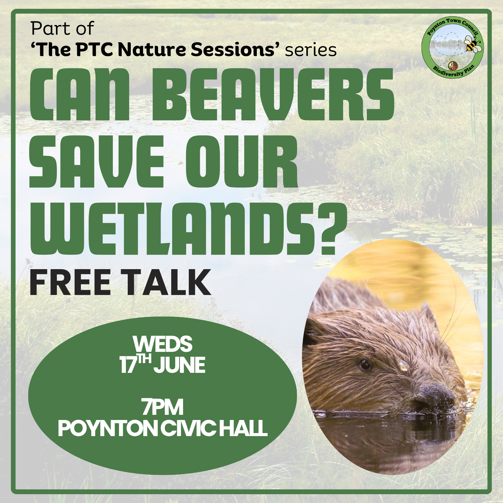 Free talk: Can Beavers Save Our Wetlands?